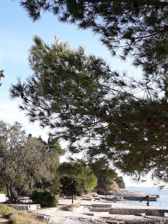 Villa Laurus Kožino Dış mekan fotoğraf